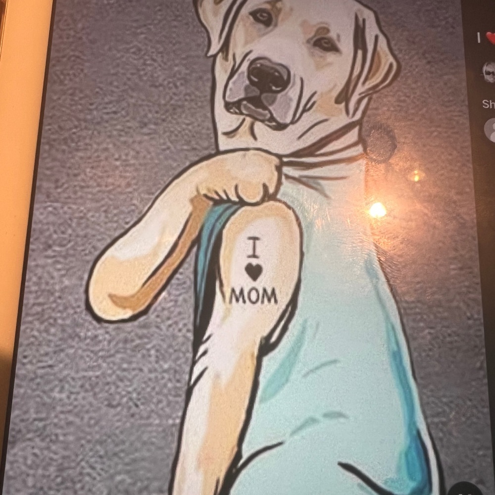 Meet your Posher, Lynne